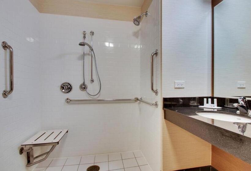 غرفة قياسية سرير كينج, Fairfield Inn & Suites By Marriott Ottawa Starved Rock Area