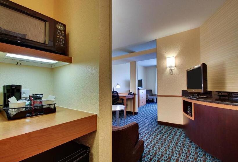 Студио Стандарт Кровать Кинг, Fairfield Inn & Suites By Marriott Ottawa Starved Rock Area