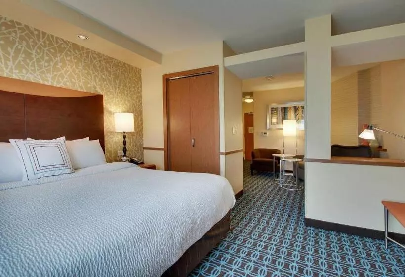 Standard-studio King-vuode, Fairfield Inn & Suites By Marriott Ottawa Starved Rock Area
