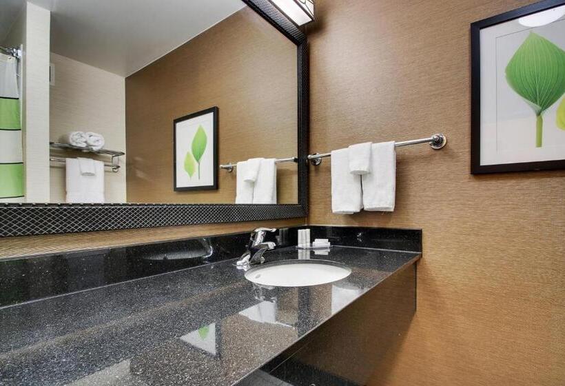 Студио Стандарт Кровать Кинг, Fairfield Inn & Suites By Marriott Ottawa Starved Rock Area