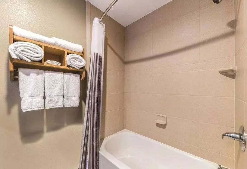 デラックスルーム, La Quinta By Wyndham Tulsa Catoosa