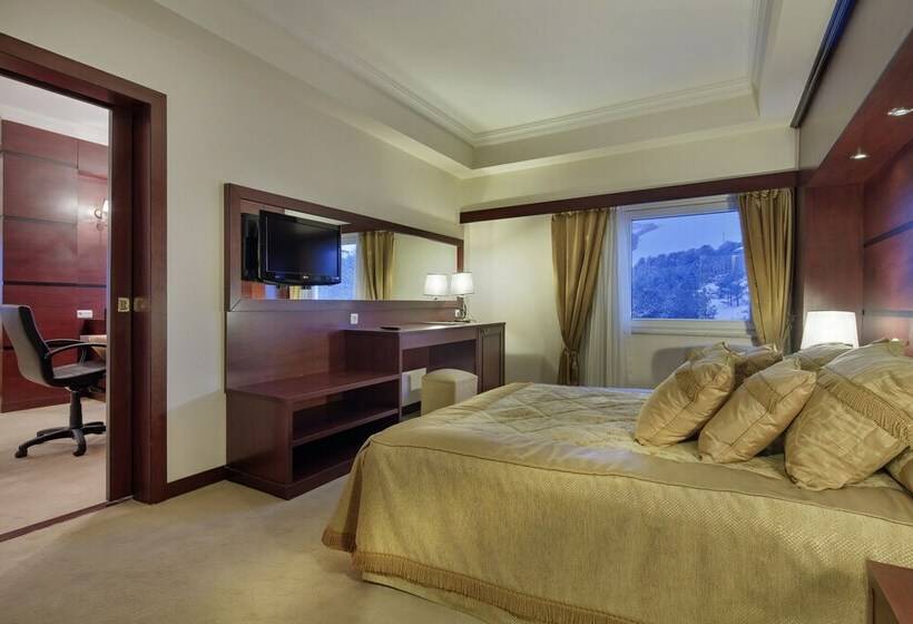 غرفة قياسية, Palan