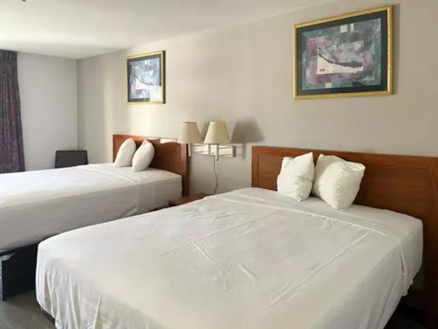 スタンダードルーム, Motel 6 Laurel, Ms
