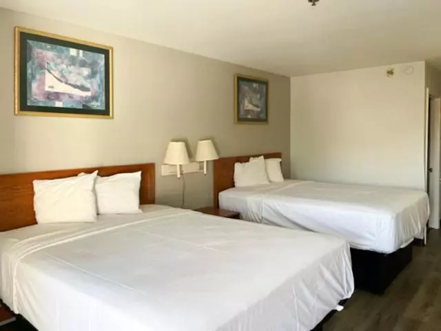 スタンダードルーム, Motel 6 Laurel, Ms