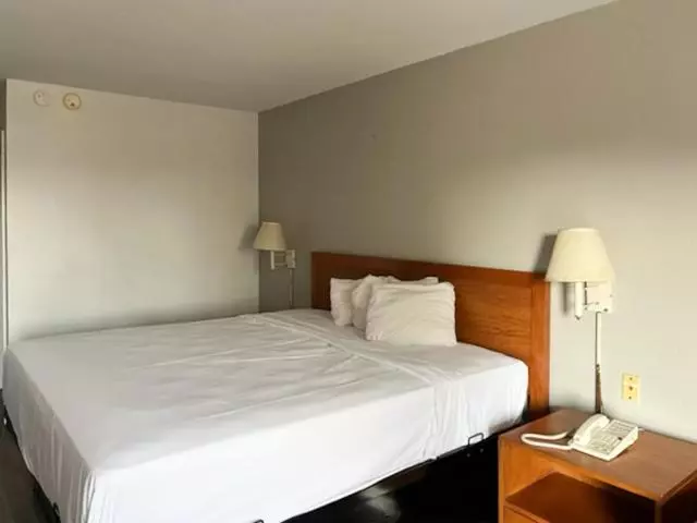 身障者適用キングサイズベッドルーム, Motel 6 Laurel, Ms
