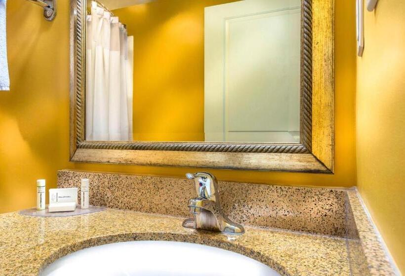 带大床的套房, Towneplace Suites By Marriott Baltimore Bwi Airport