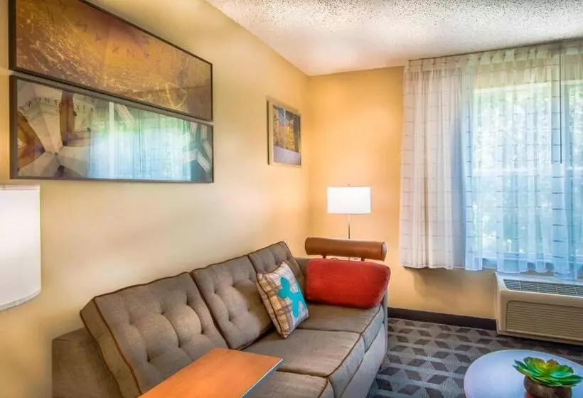 キングサイズベッドのスイートルーム, Towneplace Suites By Marriott Baltimore Bwi Airport