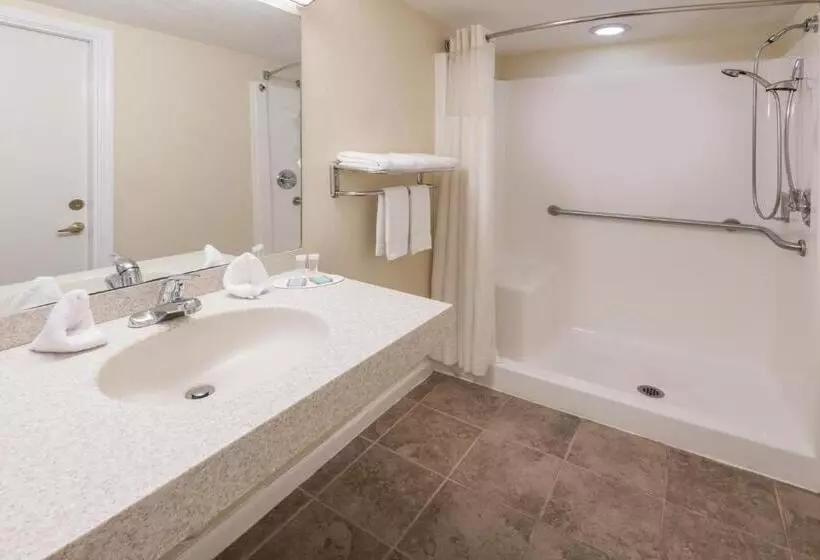 身障者適用キングサイズベッドルーム, Grove City Travel Inn Columbus South