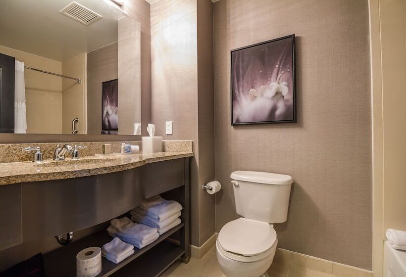 身障者適用スイートルーム, Tryp By Wyndham Savannah