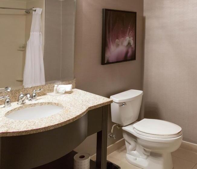 1ベッドルームのデラックスアパートメント, Tryp By Wyndham Savannah