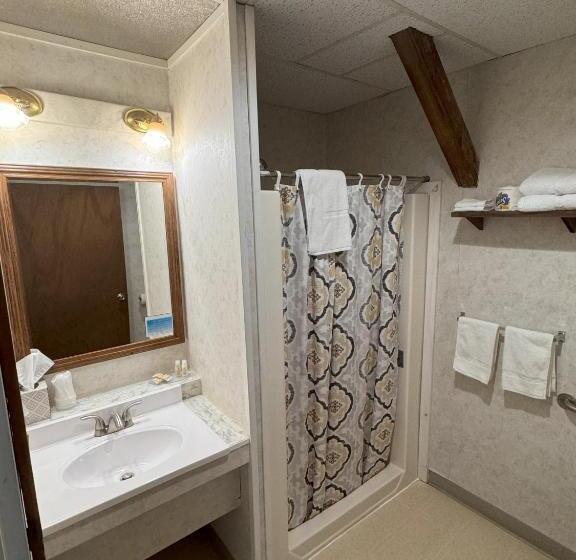 身障者適用スタンダードルーム, Lake Ontario Motel & Inn