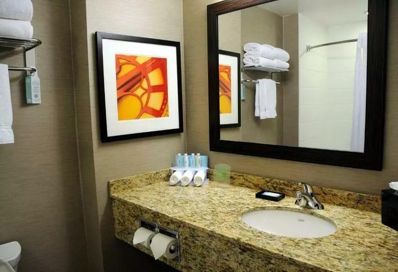 身障者適用キングサイズベッドルーム, Chateau Inn & Suites Bonnyville