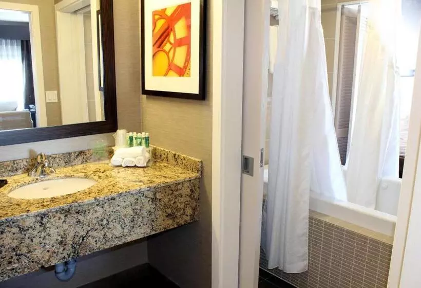 キングサイズベッドのエクゼクティブルーム, Chateau Inn & Suites Bonnyville