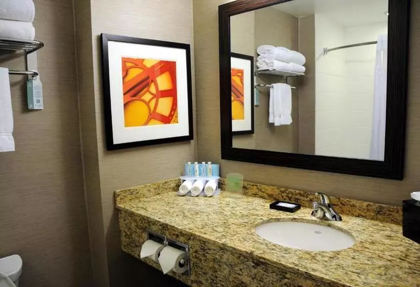 身障者適用スイートルーム, Chateau Inn & Suites Bonnyville