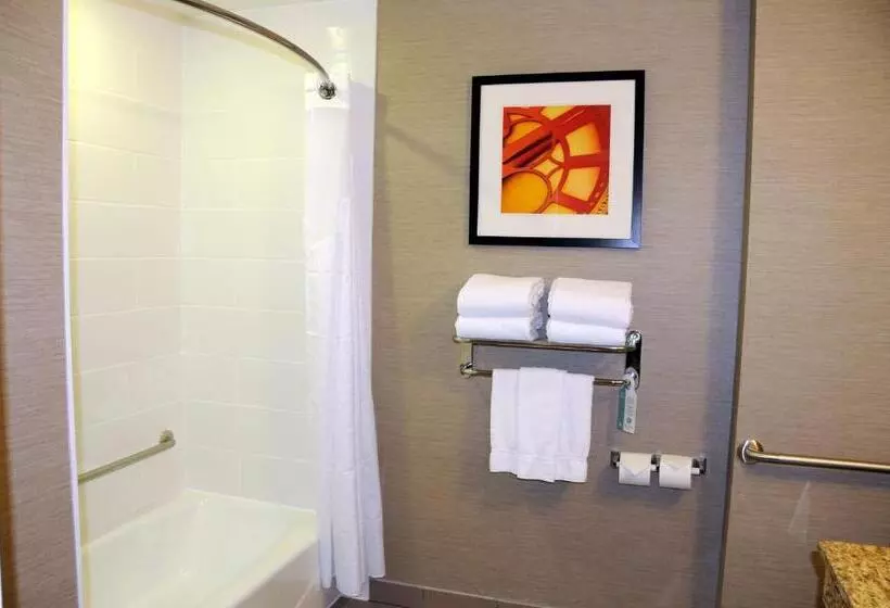 身障者適用キングサイズベッドルーム, Chateau Inn & Suites Bonnyville