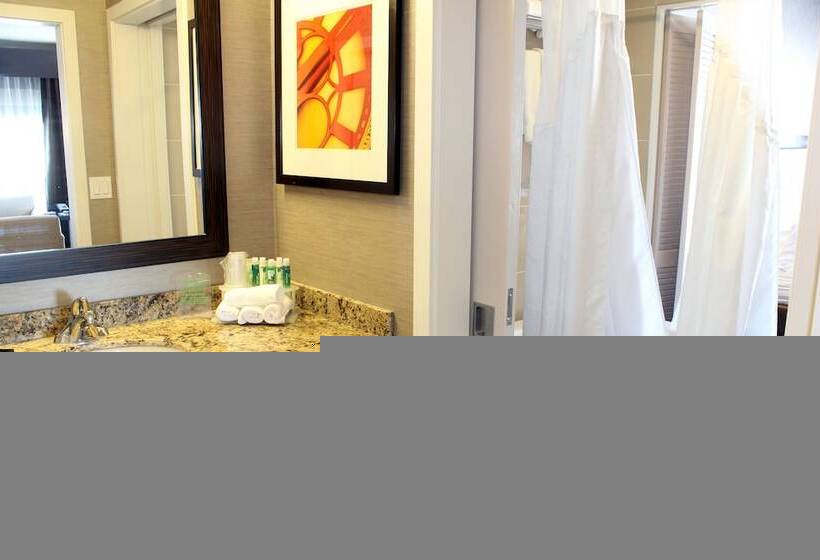 סוויטה, Chateau Inn & Suites Bonnyville