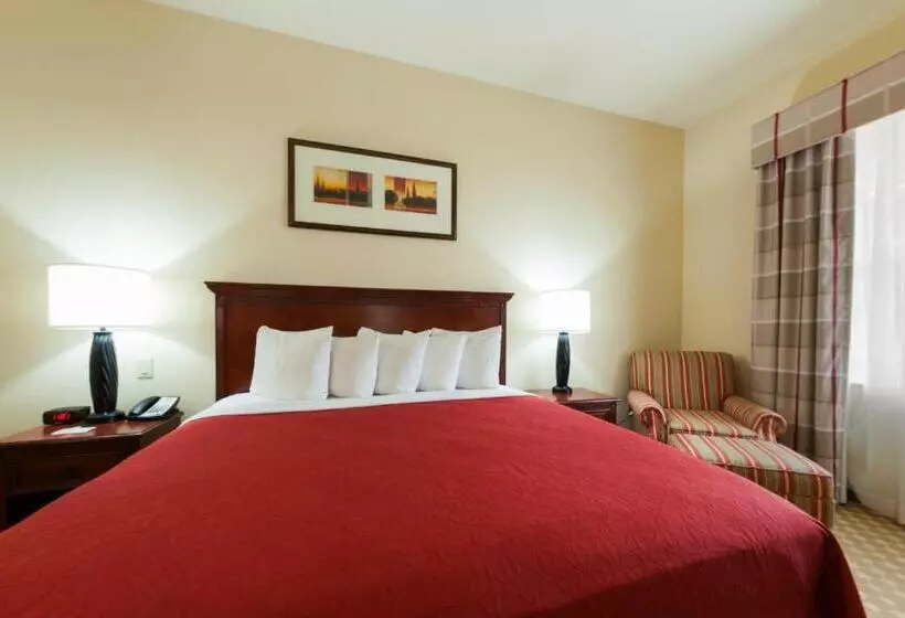 キングサイズベッドのスタンダードルーム, Country Inn & Suites By Radisson, Crestview, Fl