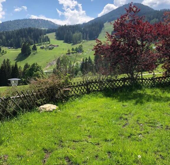 스탠다드 룸, Dunza