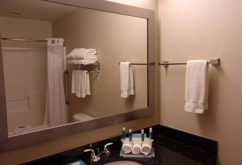 スタンダードルーム, Holiday Inn Express Hotel & Suites Chicago West Roselle, An Ihg