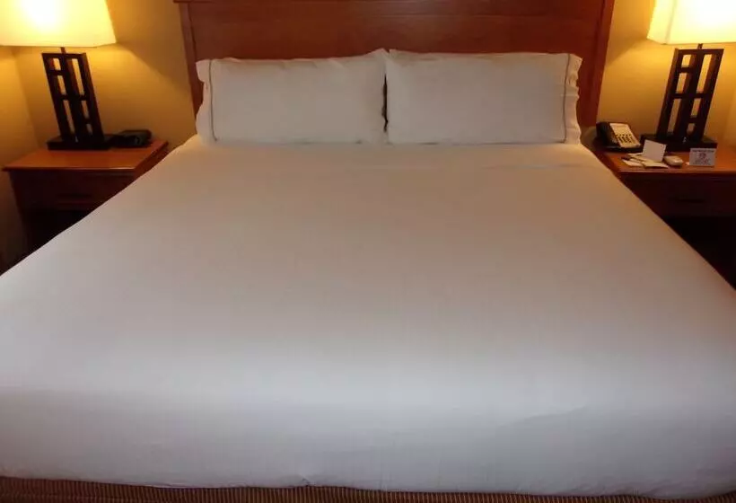 身障者適用スイートルーム, Holiday Inn Express Hotel & Suites Chicago West Roselle, An Ihg