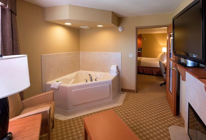 Люкс Адаптированный для Инвалидов, Holiday Inn Express Hotel & Suites Chicago West Roselle, An Ihg