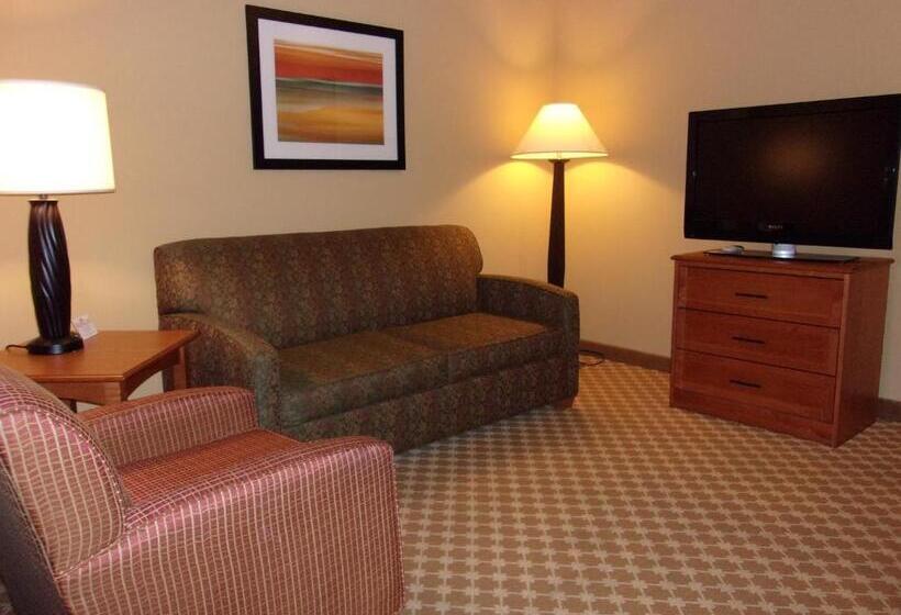 キングサイズベッドのスイートルーム, Holiday Inn Express Hotel & Suites Chicago West Roselle, An Ihg