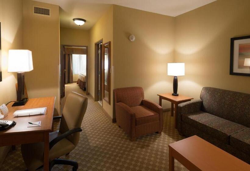 キングサイズベッドのスイートルーム, Holiday Inn Express Hotel & Suites Chicago West Roselle, An Ihg