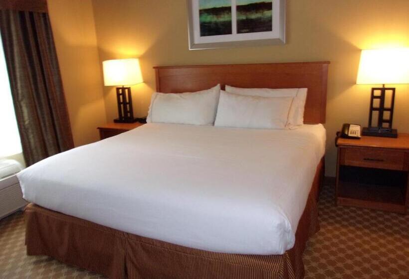 Стандартный Номер Кровать Кинг, Holiday Inn Express Hotel & Suites Chicago West Roselle, An Ihg