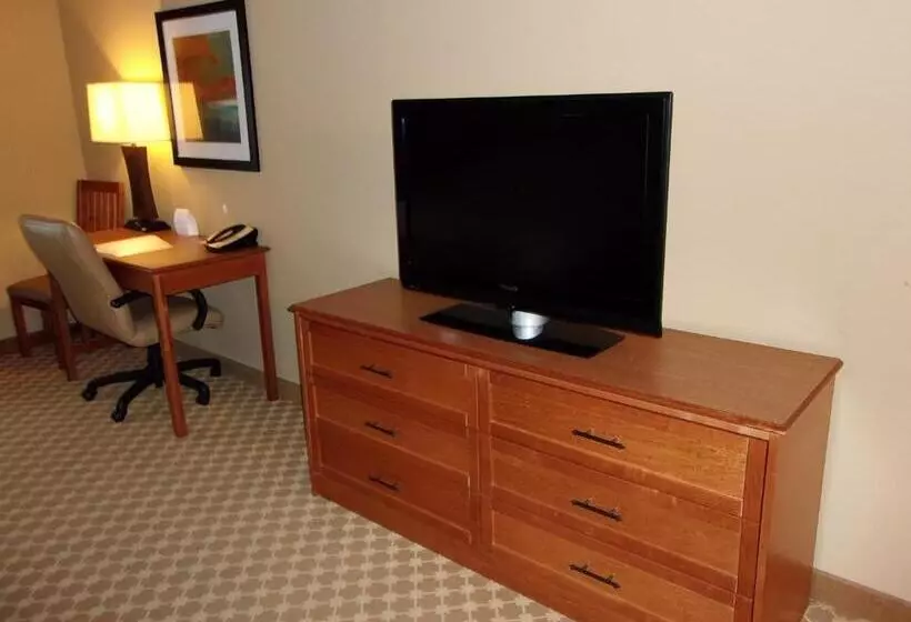 キングサイズベッドのスタンダードルーム, Holiday Inn Express Hotel & Suites Chicago West Roselle, An Ihg