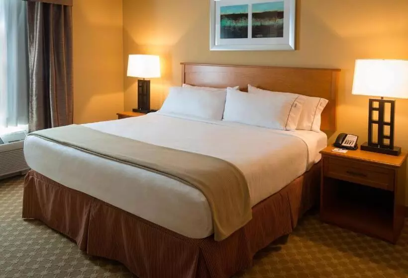 キングサイズベッドのスタンダードルーム, Holiday Inn Express Hotel & Suites Chicago West Roselle, An Ihg