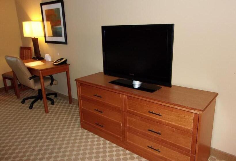 身障者適用キングサイズベッドルーム, Holiday Inn Express Hotel & Suites Chicago West Roselle, An Ihg