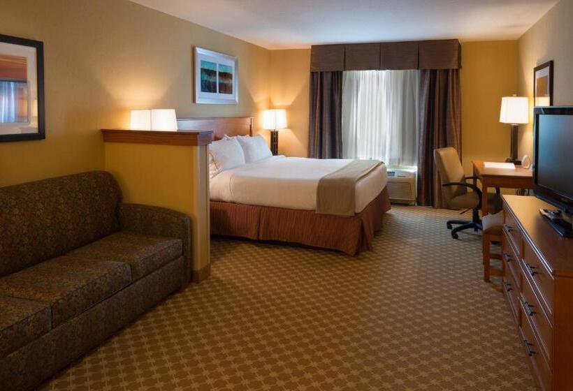 Номер Стандарт Кровать Кинг Адаптированный для Инвалидов, Holiday Inn Express Hotel & Suites Chicago West Roselle, An Ihg