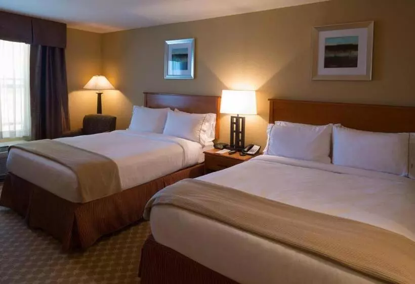 身障者適用スタンダードルーム, Holiday Inn Express Hotel & Suites Chicago West Roselle, An Ihg