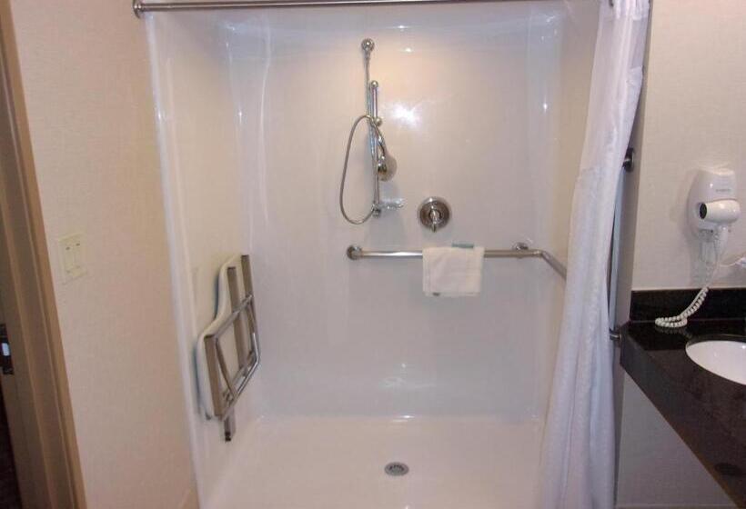 身障者適用スタンダードルーム, Holiday Inn Express Hotel & Suites Chicago West Roselle, An Ihg