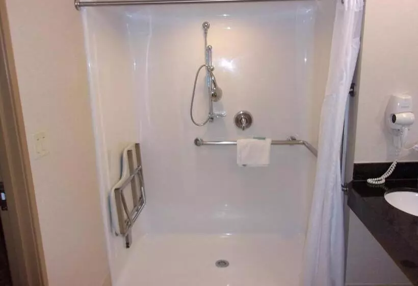 身障者適用スタンダードルーム, Holiday Inn Express Hotel & Suites Chicago West Roselle, An Ihg