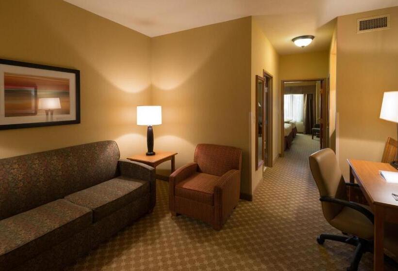 エクゼクティブスイート, Holiday Inn Express Hotel & Suites Chicago West Roselle, An Ihg