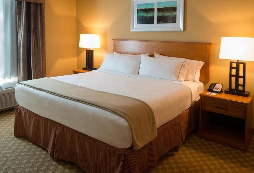 エクゼクティブスイート, Holiday Inn Express Hotel & Suites Chicago West Roselle, An Ihg