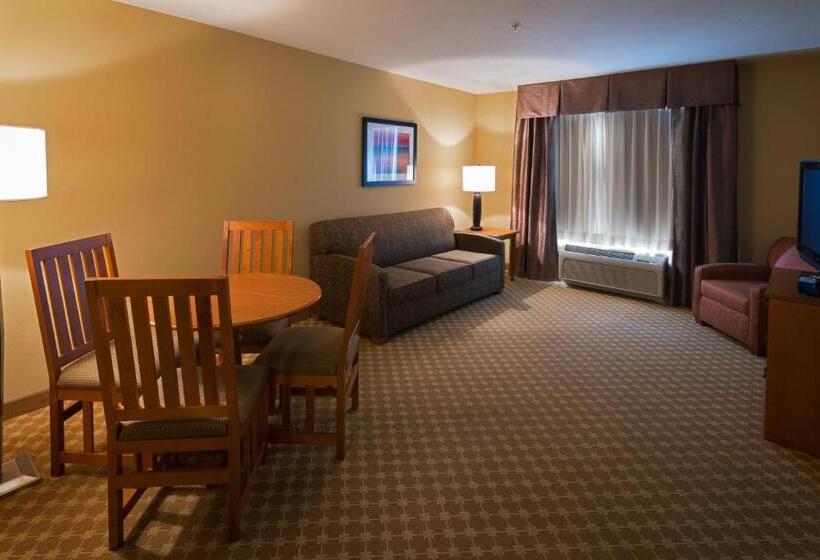 エクゼクティブスイート, Holiday Inn Express Hotel & Suites Chicago West Roselle, An Ihg