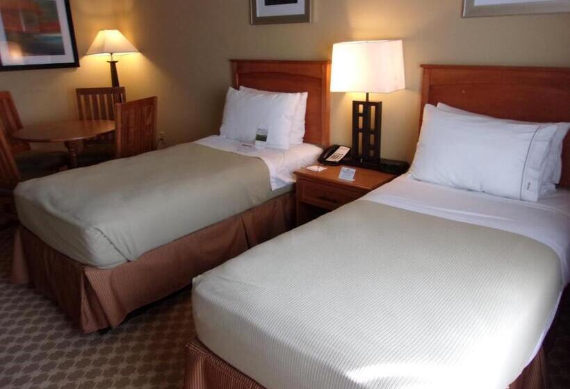Family Suite, Holiday Inn Express Hotel & Suites Chicago West Roselle, An Ihg