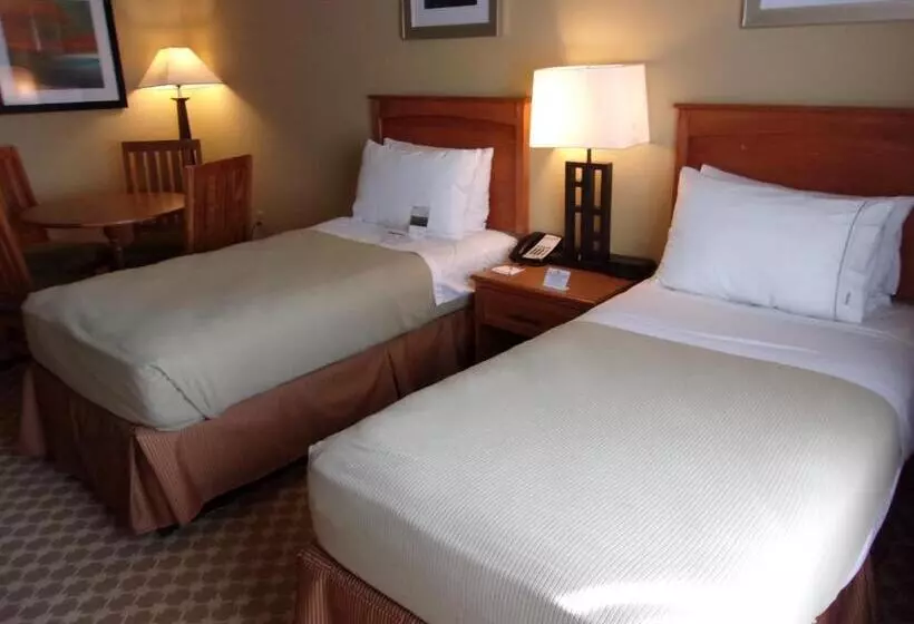 スイート（家族用）, Holiday Inn Express Hotel & Suites Chicago West Roselle, An Ihg