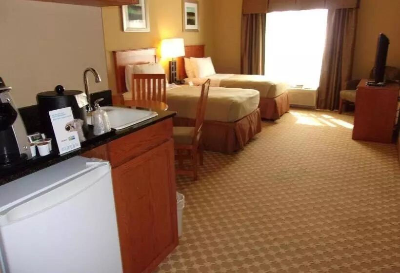 スイート（家族用）, Holiday Inn Express Hotel & Suites Chicago West Roselle, An Ihg