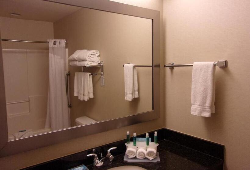 Люкс Superior, Holiday Inn Express Hotel & Suites Chicago West Roselle, An Ihg