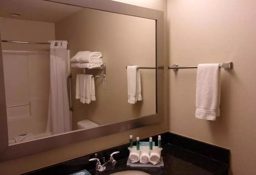 デラックススイート, Holiday Inn Express Hotel & Suites Chicago West Roselle, An Ihg