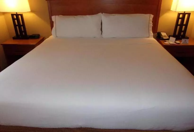 デラックススイート, Holiday Inn Express Hotel & Suites Chicago West Roselle, An Ihg