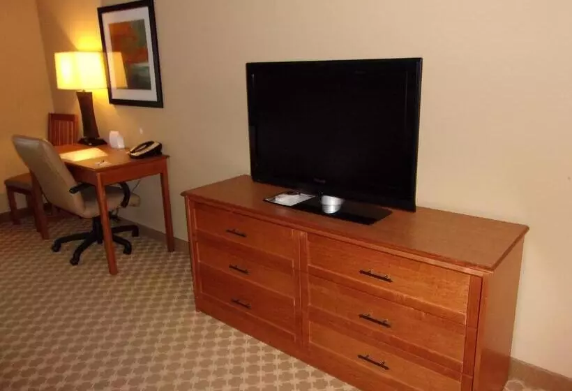 デラックススイート, Holiday Inn Express Hotel & Suites Chicago West Roselle, An Ihg
