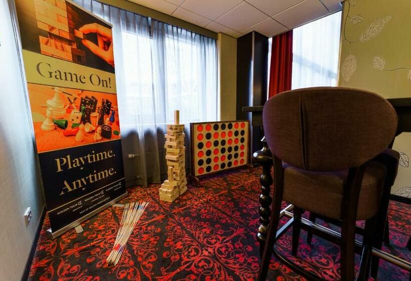 家庭间, Tulip Inn Leiden Centre