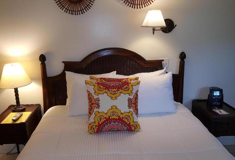 غرفة قياسية, The Caribbean Court Boutique