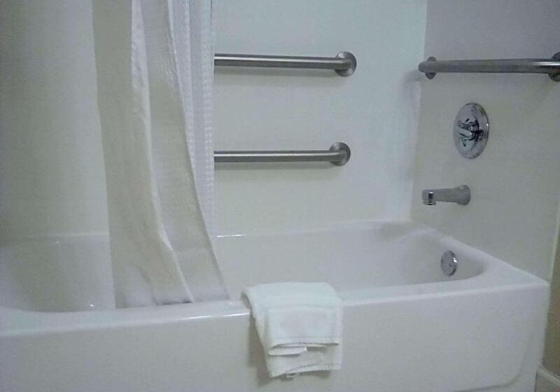 غرفة قياسية لذوى الاحتياجات الخاصة, Best Western Plus Midamerica