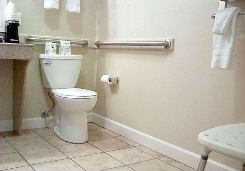 غرفة قياسية لذوى الاحتياجات الخاصة, Best Western Plus Midamerica