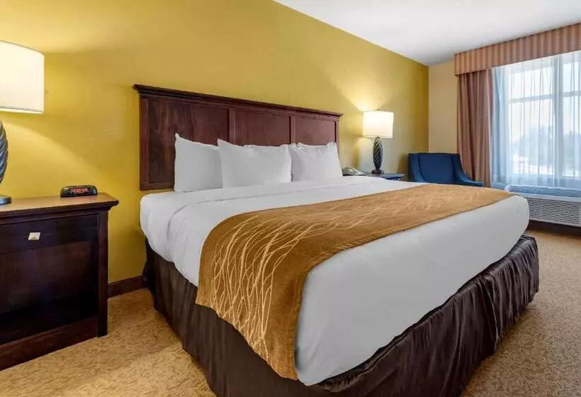 キングサイズベッドのスタンダードルーム, Comfort Inn & Suites